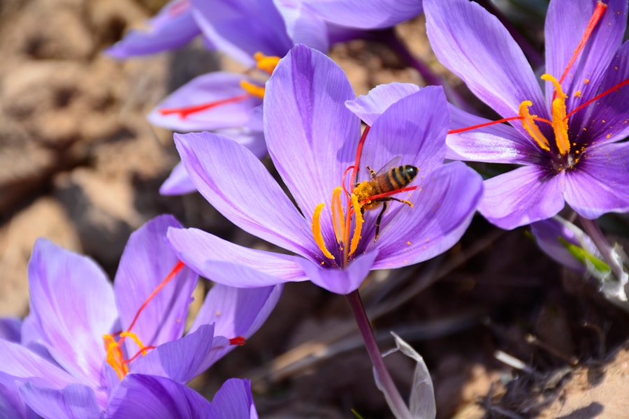 Photo "Saffron Supplementation for ADHD: Research Review"