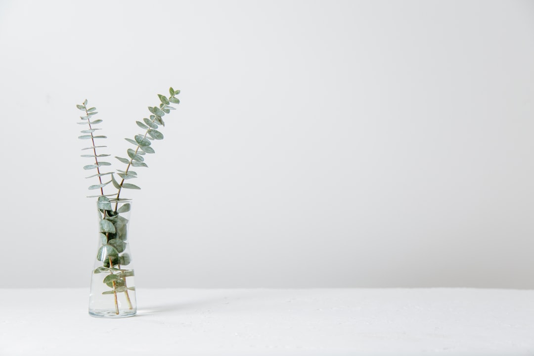 Overcoming Speech Challenges in ADHD