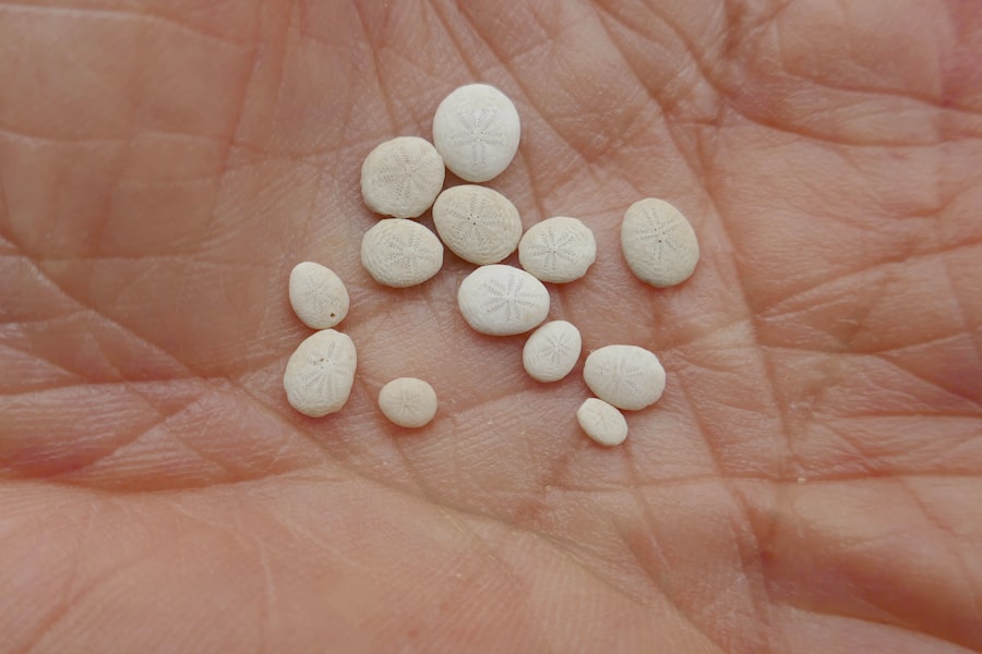 vitamin b6