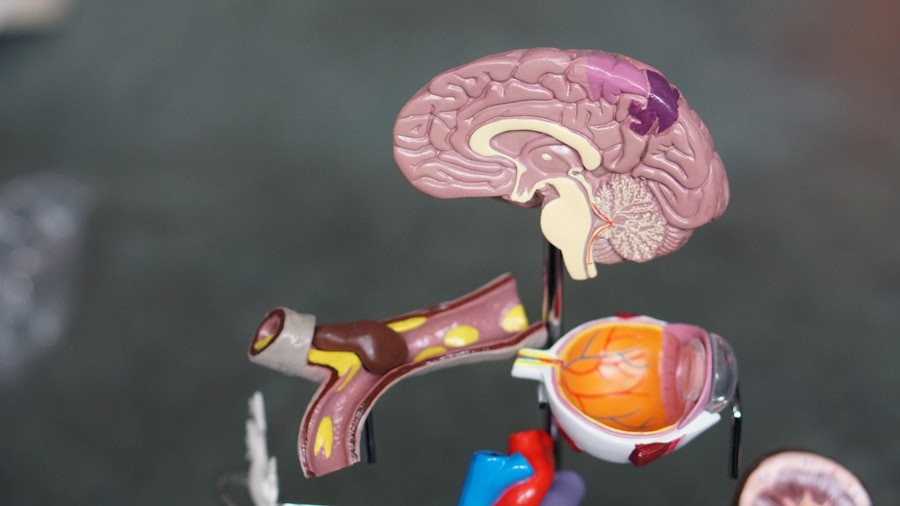 Photo adhd limbic