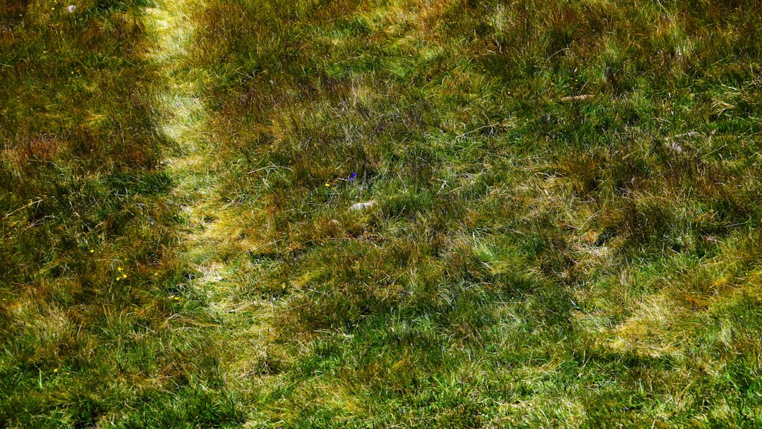 Combining Strattera and Adderall: What You Need to Know