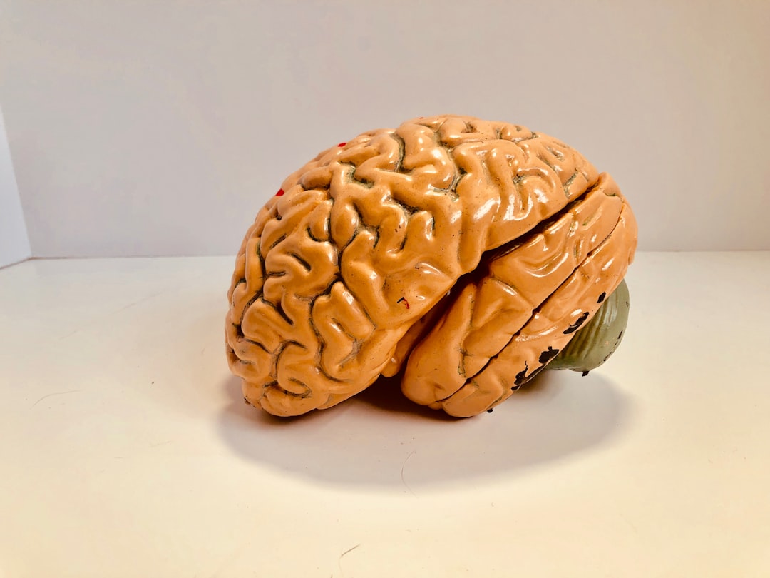 Unlocking the ADHD Limbic System